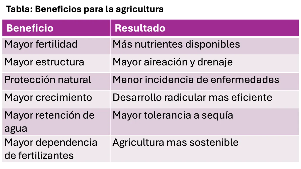 Imagen destacada