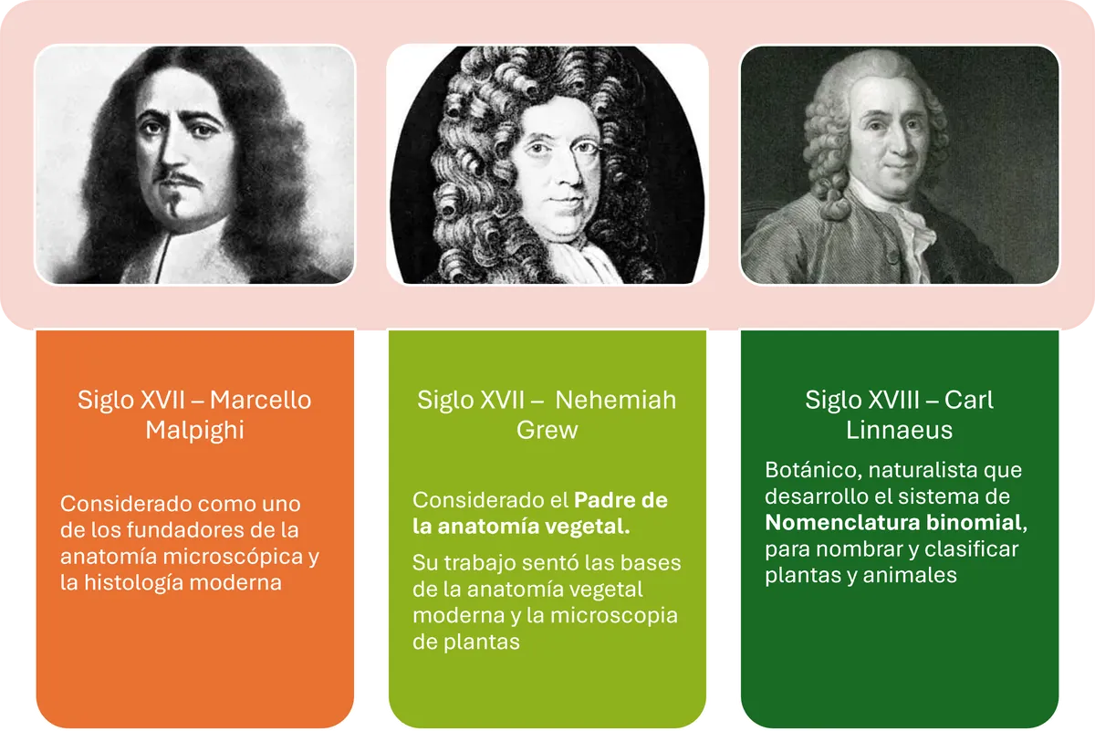 Imagen destacada