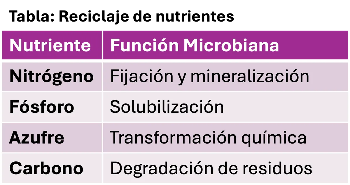 Imagen destacada