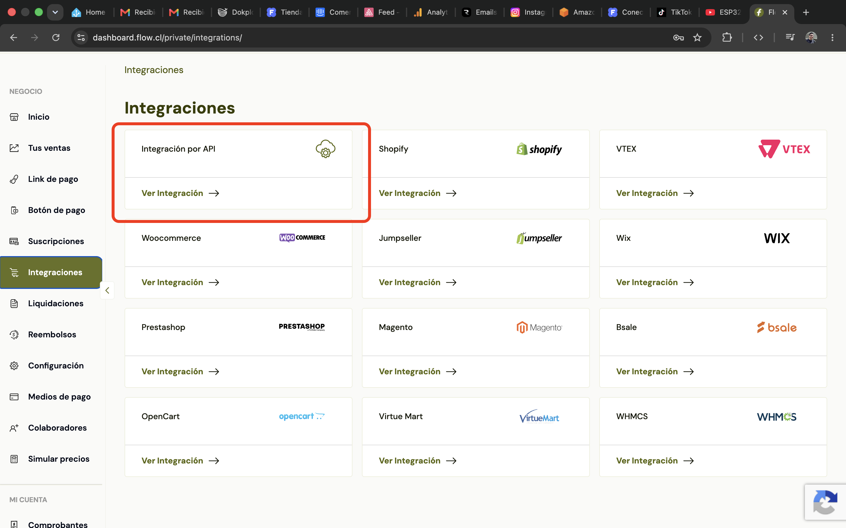 Paso 2: abrir Integración por API