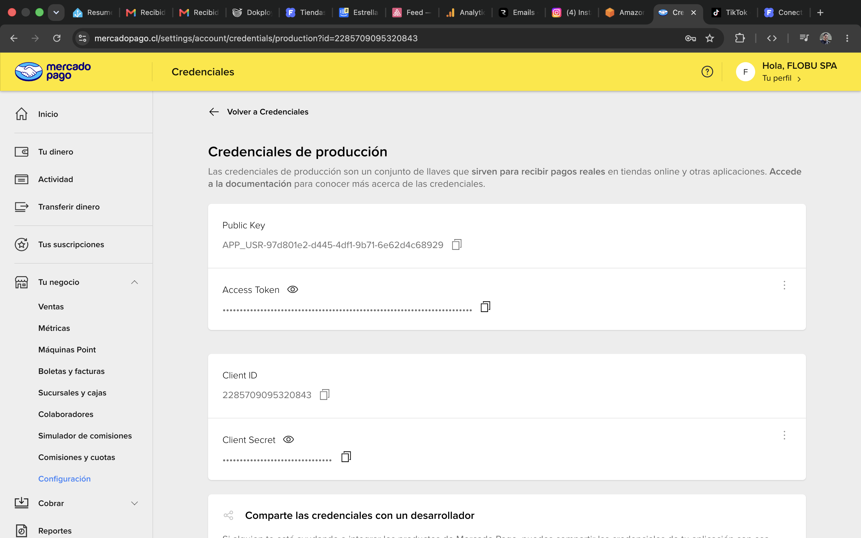 Paso 10: copiar Public Key y Access Token