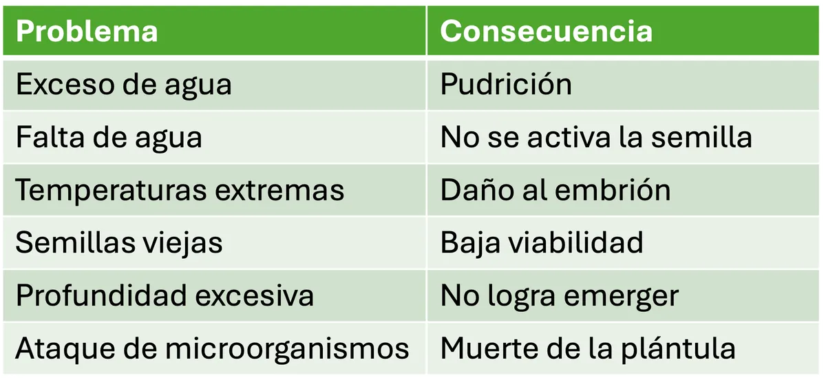 Imagen destacada